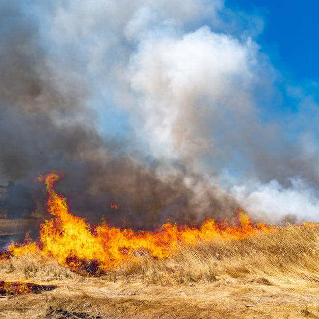 Relative-speed-square