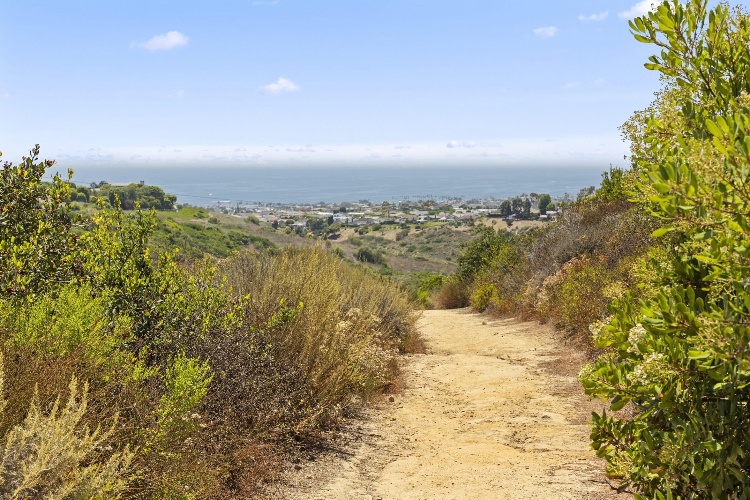 Why Activity Alone Will Not Bend the Curve: The Case for Outcome-Based Wildfire Planning