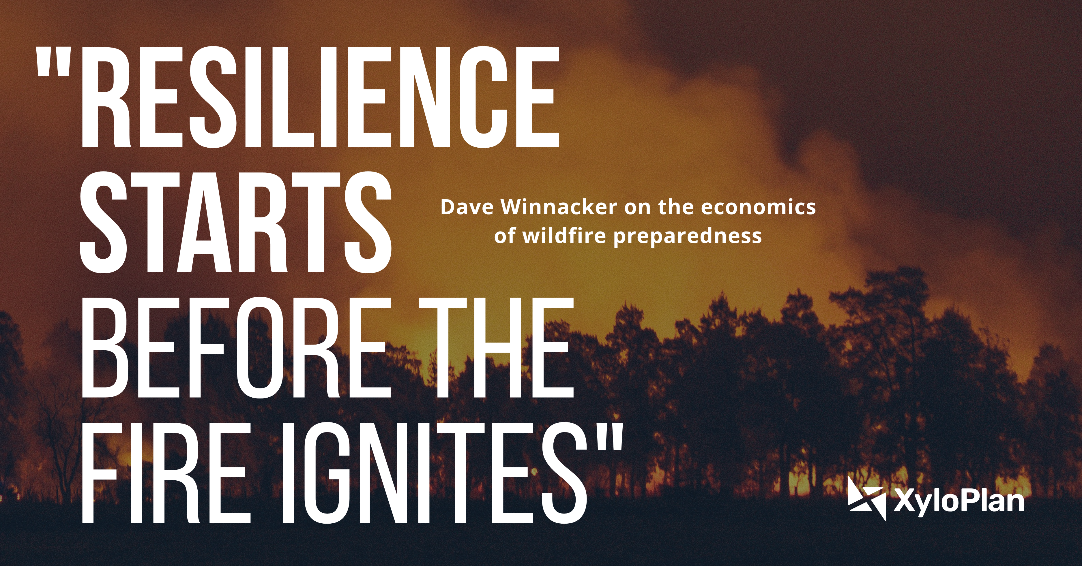 Wildfire Preparedness and the Economics of Resilience