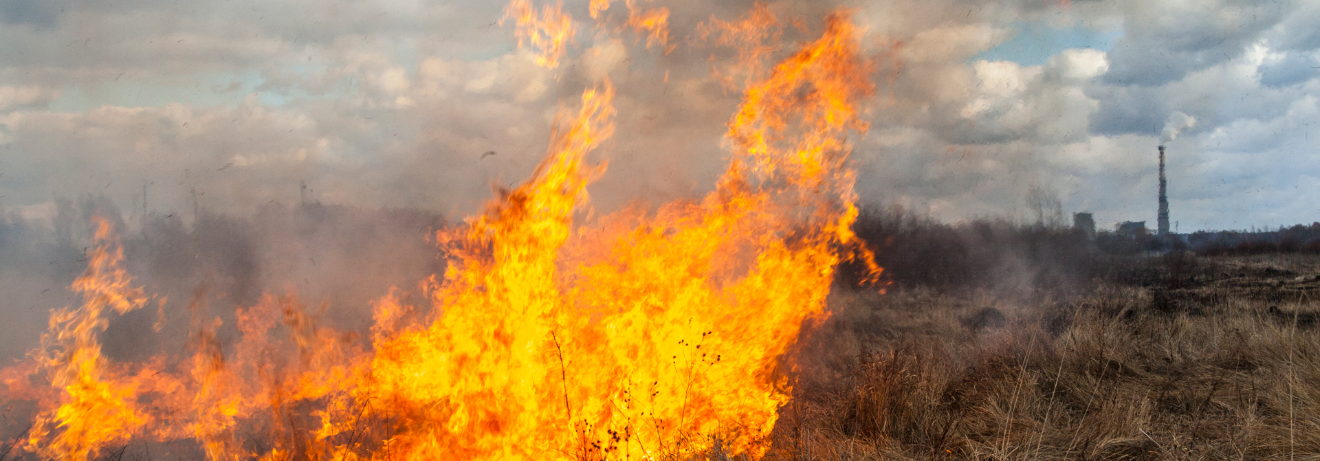 iStock-692412372_cropped iStock-692412372_cropped